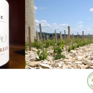 Domaine Roger & Christophe Moreux